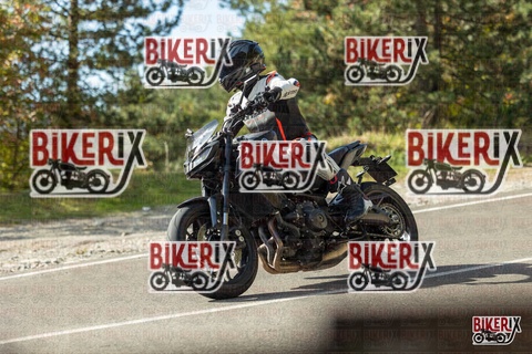 Passo del Muraglione 19-10-25 h12-21 0591