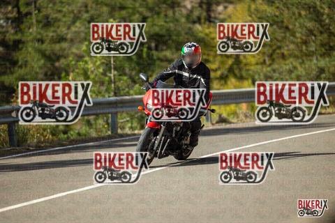 Passo del Muraglione 19-10-25 h12-22 0592