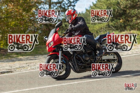 Passo del Muraglione 19-10-25 h12-22 0593