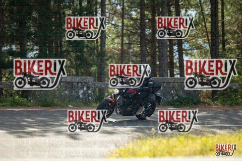 Passo del Muraglione 19-10-25 h12-27 0607