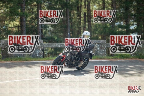 Passo del Muraglione 19-10-25 h12-27 0608