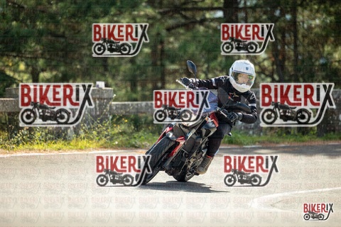 Passo del Muraglione 19-10-25 h12-27 0609