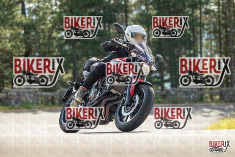 Passo del Muraglione 19-10-25 h12-27 0610