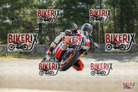 Passo del Muraglione 19-10-25 h12-27 0632