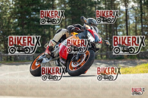 Passo del Muraglione 19-10-25 h12-27 0634