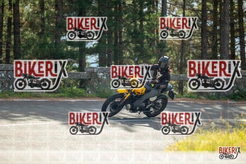 Passo del Muraglione 19-10-25 h12-28 0635