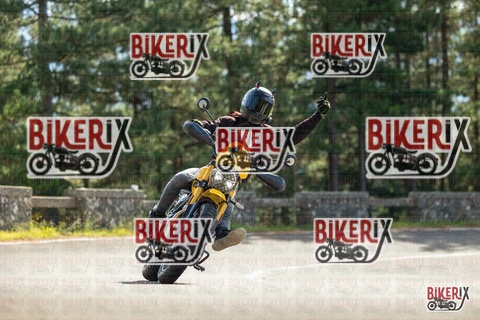 Passo del Muraglione 19-10-25 h12-28 0638