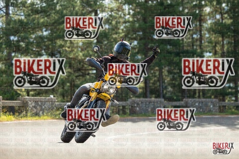 Passo del Muraglione 19-10-25 h12-28 0639