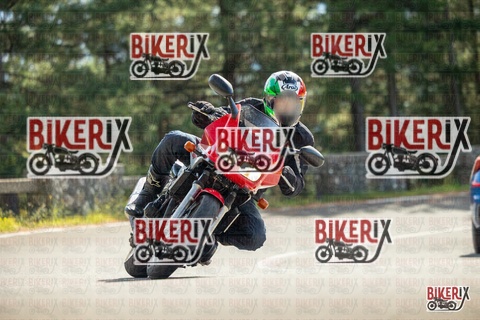 Passo del Muraglione 19-10-25 h12-29 0645