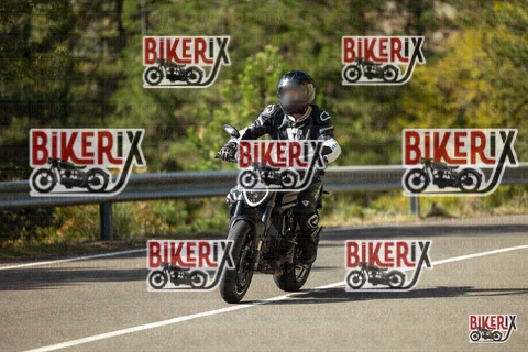 Passo del Muraglione 19-10-25 h12-31 0662