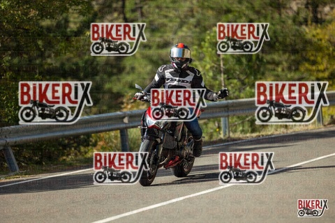 Passo del Muraglione 19-10-25 h12-36 0678