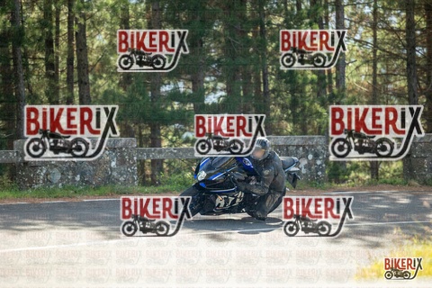 Passo del Muraglione 19-10-25 h12-37 0686