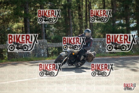 Passo del Muraglione 19-10-25 h12-37 0691