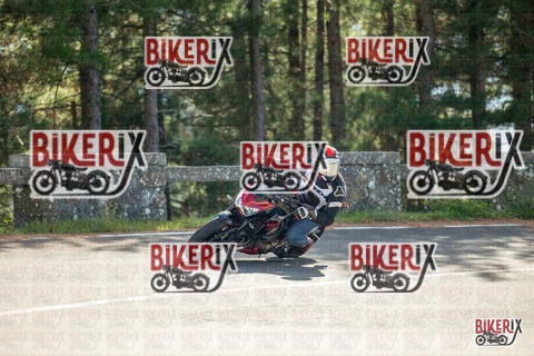 Passo del Muraglione 19-10-25 h12-39 0697