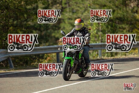 Passo del Muraglione 19-10-25 h12-40 0709