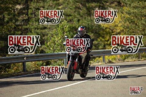 Passo del Muraglione 19-10-25 h12-57 0798