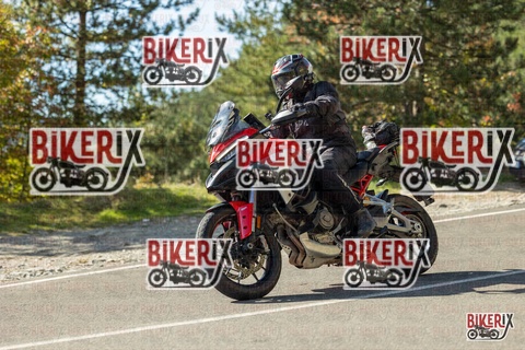 Passo del Muraglione 19-10-25 h12-57 0799