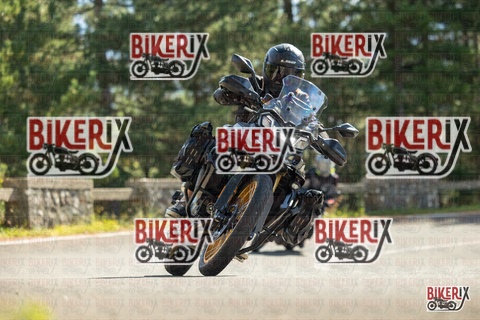 Passo del Muraglione 19-10-25 h13-00 0831