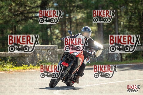 Passo del Muraglione 19-10-25 h13-00 0836