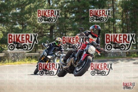 Passo del Muraglione 19-10-25 h13-00 0846