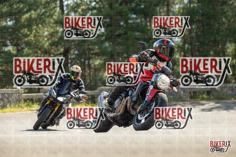 Passo del Muraglione 19-10-25 h13-00 0847