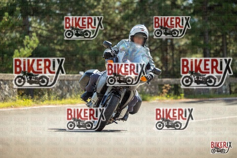 Passo del Muraglione 19-10-25 h13-00 0860