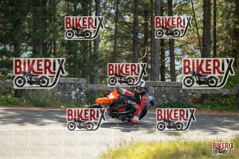 Passo del Muraglione 19-10-25 h13-08 0885