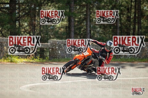 Passo del Muraglione 19-10-25 h13-08 0887