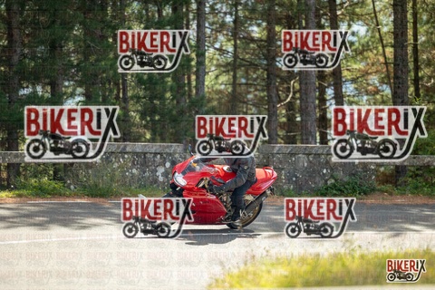 Passo del Muraglione 19-10-25 h13-12 0926