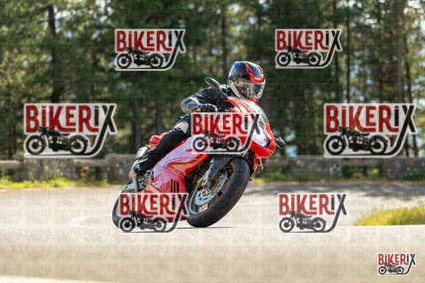 Passo del Muraglione 19-10-25 h13-12 0929