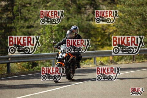 Passo del Muraglione 19-10-25 h13-15 0944