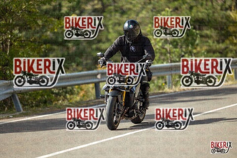 Passo del Muraglione 19-10-25 h13-16 0946