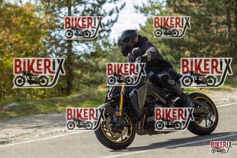 Passo del Muraglione 19-10-25 h13-16 0947