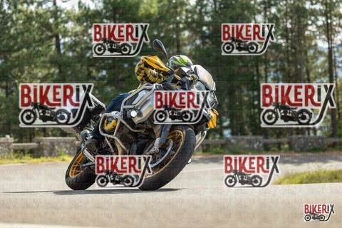 Passo del Muraglione 19-10-25 h13-17 0953