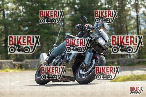 Passo del Muraglione 19-10-25 h13-20 0964