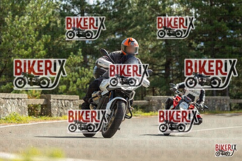 Passo del Muraglione 19-10-25 h13-22 0982