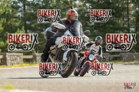 Passo del Muraglione 19-10-25 h13-22 0984