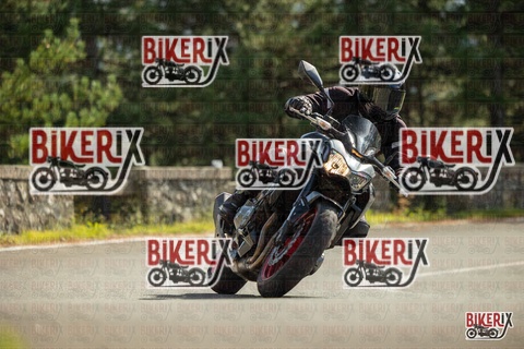 Passo del Muraglione 19-10-25 h13-22 0985