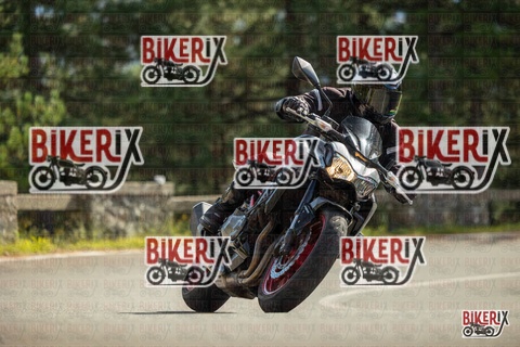 Passo del Muraglione 19-10-25 h13-22 0986