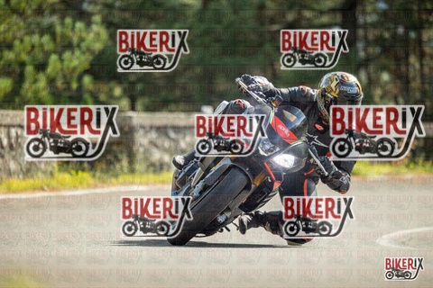 Passo del Muraglione 19-10-25 h13-25 0992