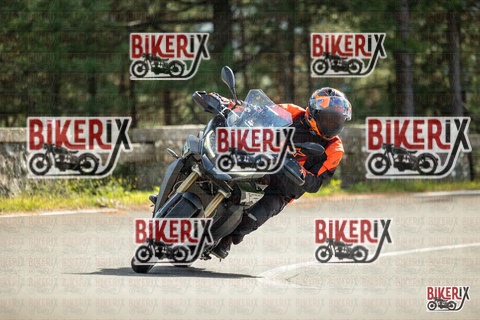 Passo del Muraglione 19-10-25 h13-26 0996