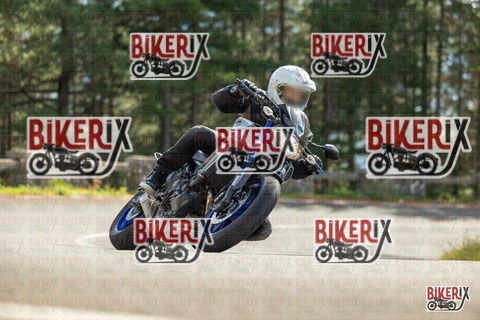 Passo del Muraglione 19-10-25 h13-30 1026