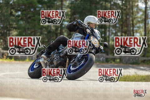 Passo del Muraglione 19-10-25 h13-30 1027