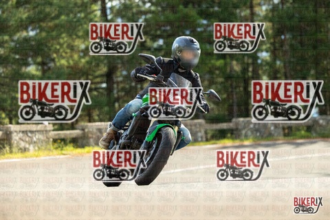 Passo del Muraglione 19-10-25 h13-31 1039