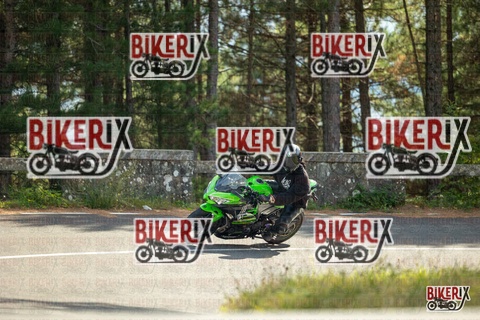 Passo del Muraglione 19-10-25 h13-47 1093