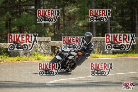 Passo del Muraglione 19-10-25 h14-05 1128