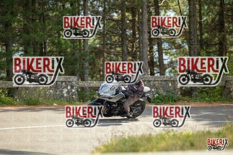 Passo del Muraglione 19-10-25 h14-05 1133