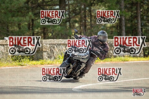 Passo del Muraglione 19-10-25 h14-05 1135