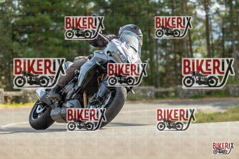 Passo del Muraglione 19-10-25 h14-05 1137