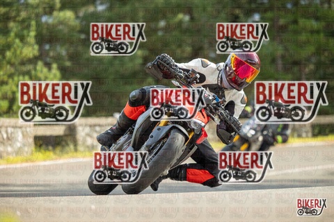 Passo del Muraglione 19-10-25 h14-11 1151